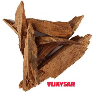 Vijaysar