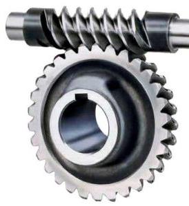 Industrial Worm Gear