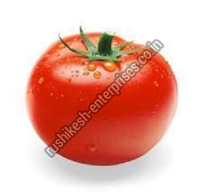 Fresh Tomato
