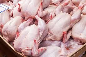 Fresh Chicken Meat