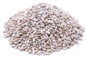 sunflower Seed