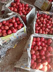Fresh Pomegranate