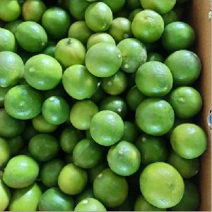 Fresh Sweet Lime