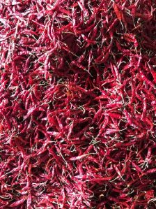 Guntur Red Chilli