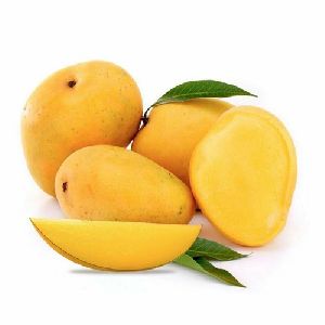 Banganapalli Mango