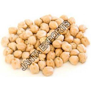 Kabuli Chickpeas