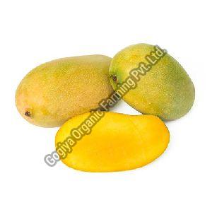 Fresh Mallika Mango