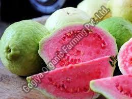 Fresh Red Guava