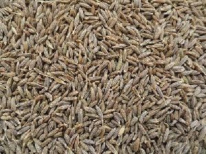 Brown Cumin Seeds