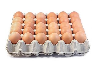 EGG PACKAGING TRAY