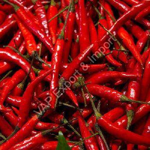 Fresh Red Chilli