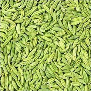 green fennel seeds