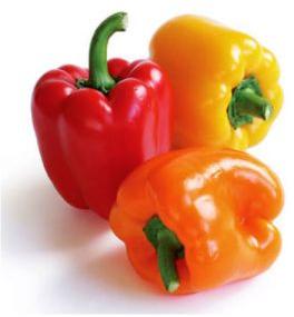 Fresh Bell Pepper