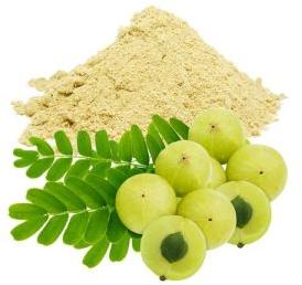 Amla Powder