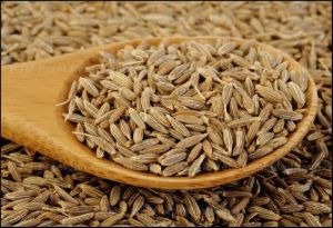 Cumin Seeds