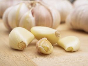 Fresh Garlic