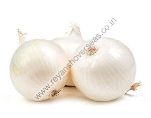Fresh White Onion