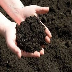 vermicompost