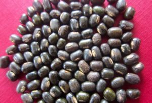 Black Mung Beans