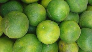 Fresh Sweet Lime