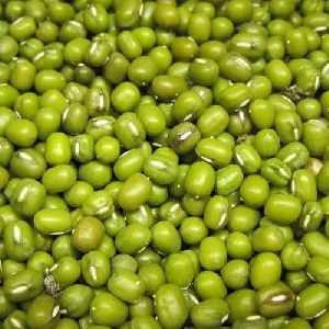 Green Mung Beans