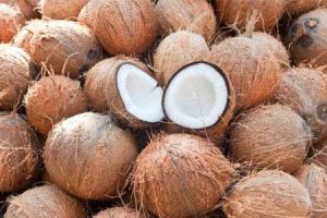 Coconut