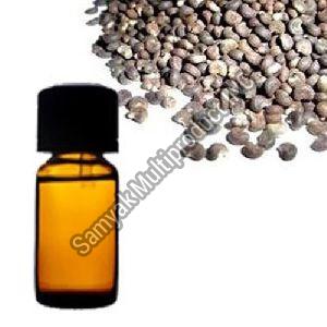Ambrette Seed Essential Oil