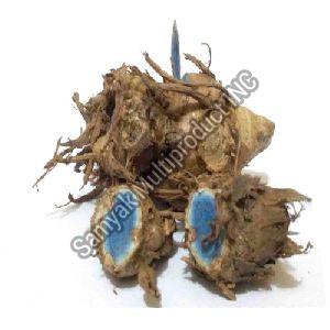 Black Turmeric