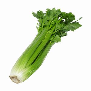 Celery Leaves