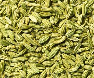 Fennel Seeds