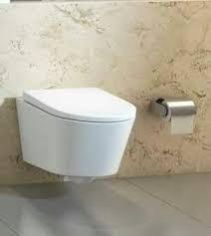 Wall Mounted One Piece Toilet