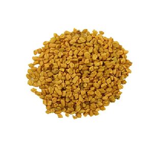 Fenugreek Seeds