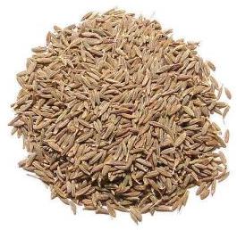 Cumin Whole Seeds