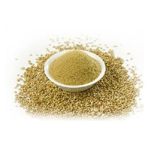 Normal Ground Coriander Powder