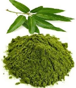 mango leaf powder