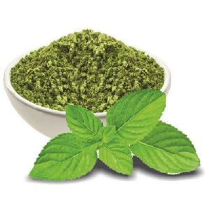 mint leaf powder