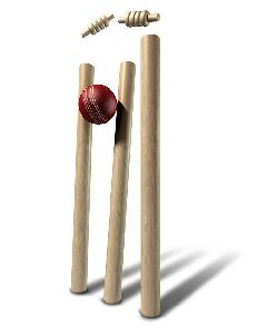 cricket wicket