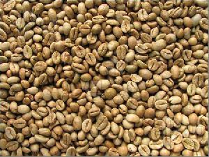 Raw Robusta Coffee Beans