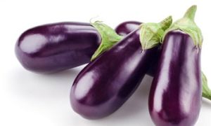 Fresh Brinjal