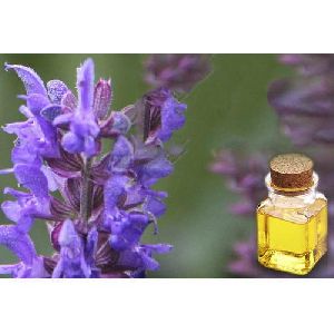 Hyssop Oil