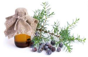 Juniper Berry Oil