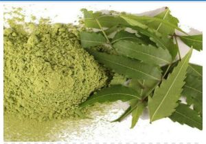 Neem Leaf Powder