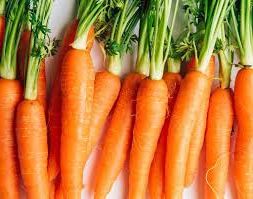 Fresh Carrot