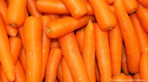 Carrots