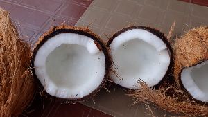 Semi Husked Coconuts