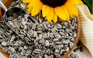 Sunflower Seeds