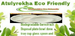 Cronstrach biodegradable disposal plate