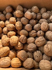 Walnuts