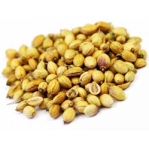 Coriander Seeds