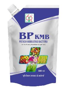 BP Potash Mobilizing Bacteria